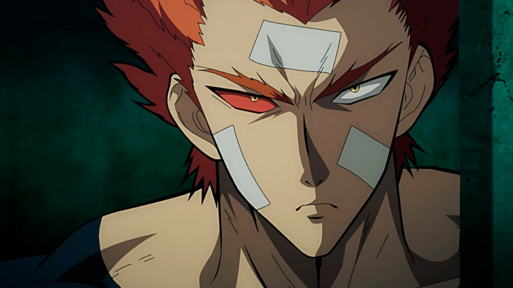 Garou do anime One Punch Man